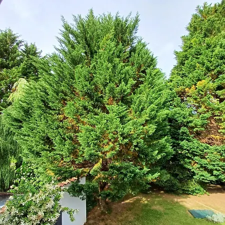 Izeien Azpian Arcangues