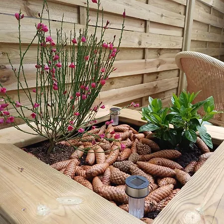 Izeien Azpian Bed and breakfast