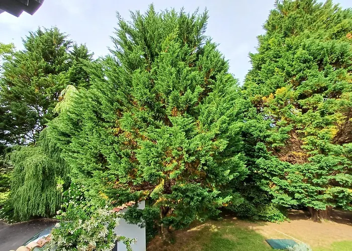 Izeien Azpian Arcangues